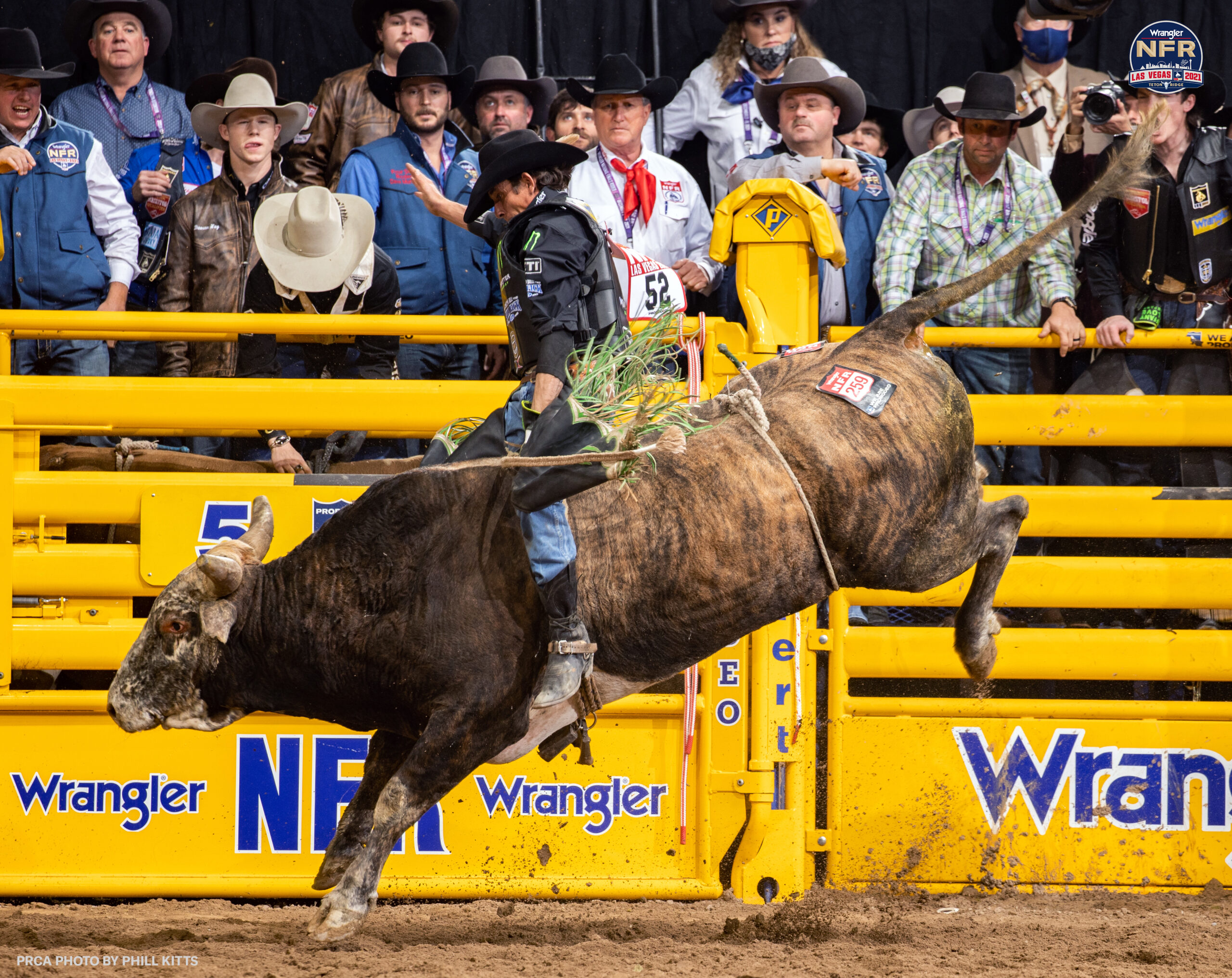 Wrangler NFR Round 1 - Horse * Pet * Livestock