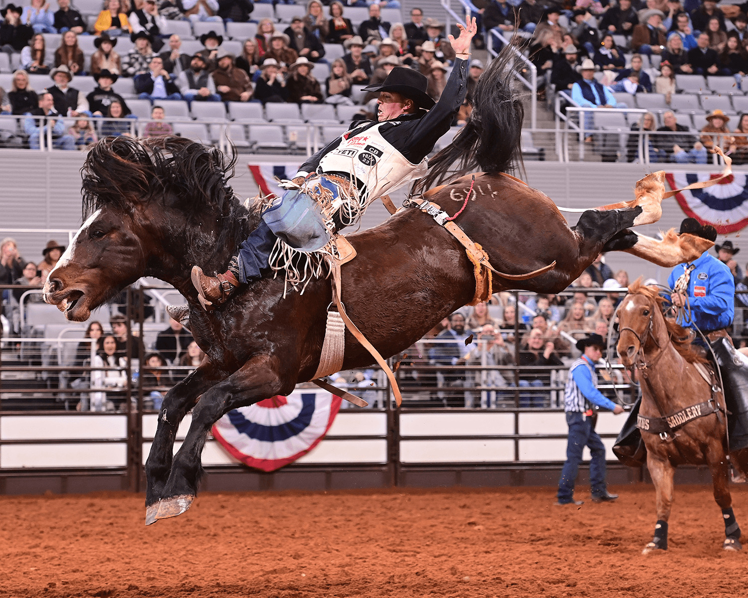 Friday night rodeo action at Fort Worth Rodeo - Horse * Pet * Livestock