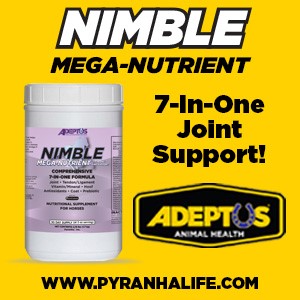 Adeptus-Nimble horse health joint support